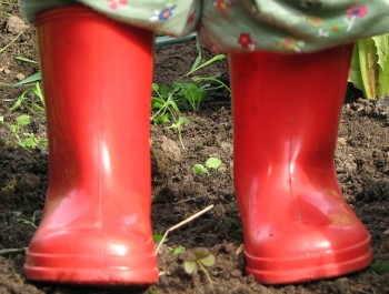 red wellies