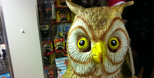 owl costume