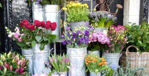 flower shop
