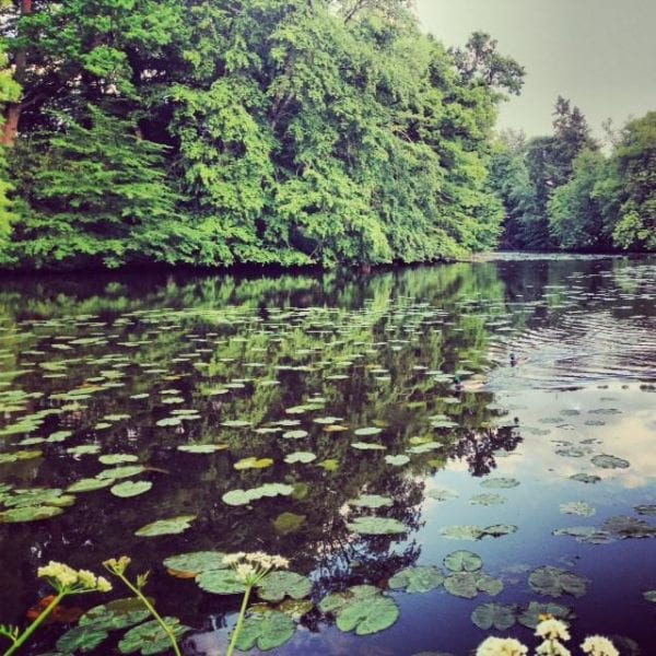 The grounds at Domaine des Ormes in North Brittany are gorgeous. This lake is near the 10-hole golf course.