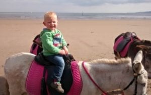daniel on donkey final