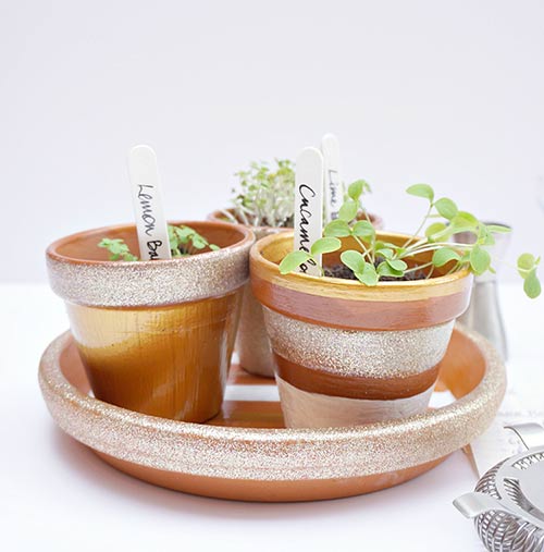 Cocktail Herb Garden