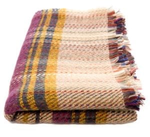 National Trust picnic rug for BritMums Twitter party