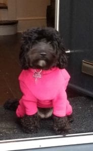 coco
