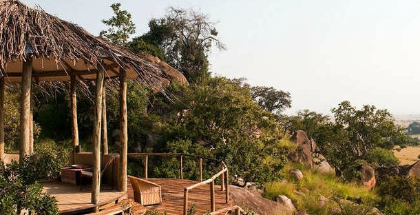 tanzania lamai serengeti