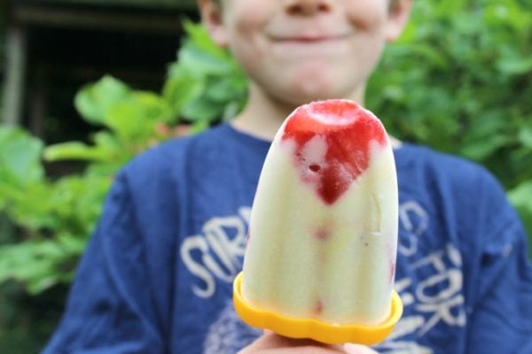 fresh fruit yoghurt lollies by Crafts on Sea