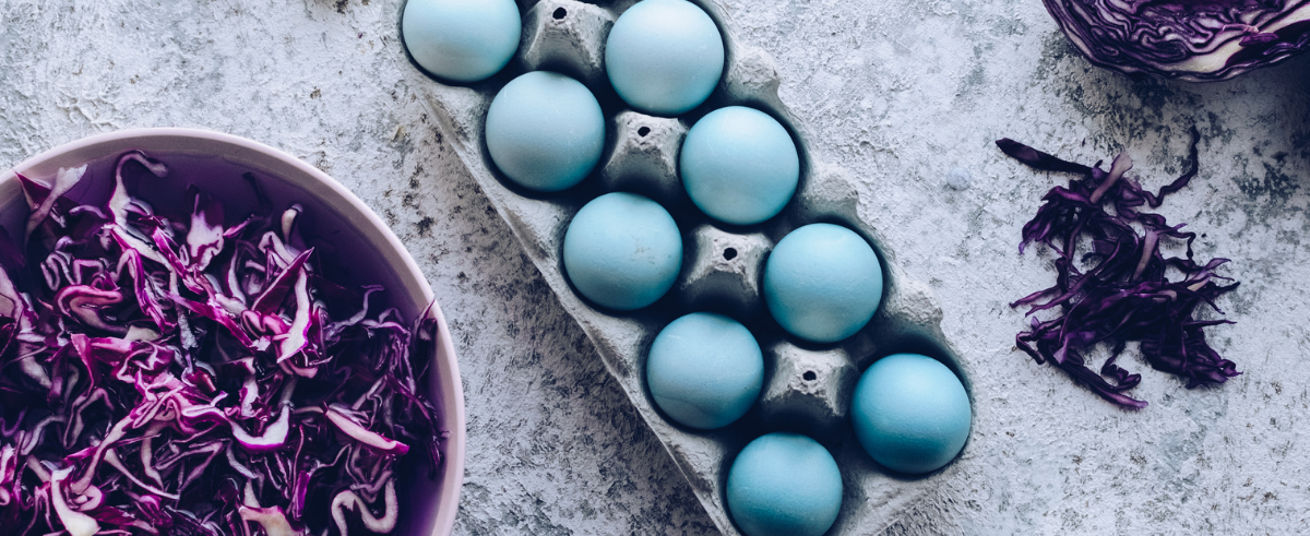 Easter eggs naturally dyed with cabbage
