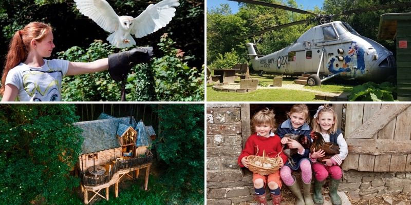 girl holding owl, kids with farm animals, holiday treehouse and helicopter