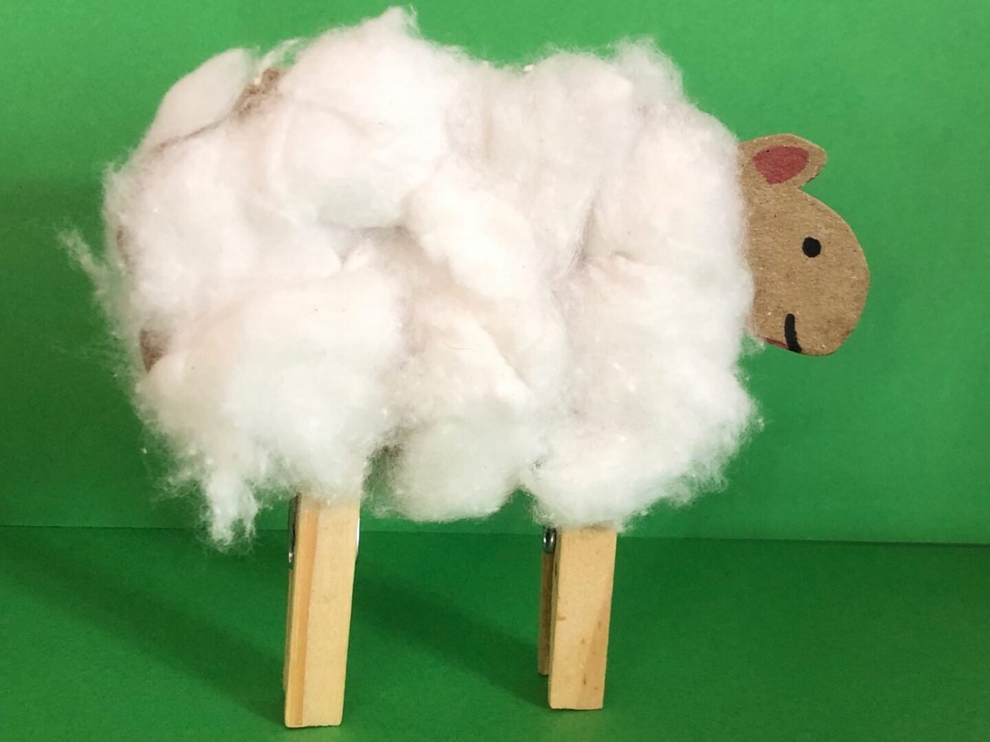 Woolly sheep made from cotton wool