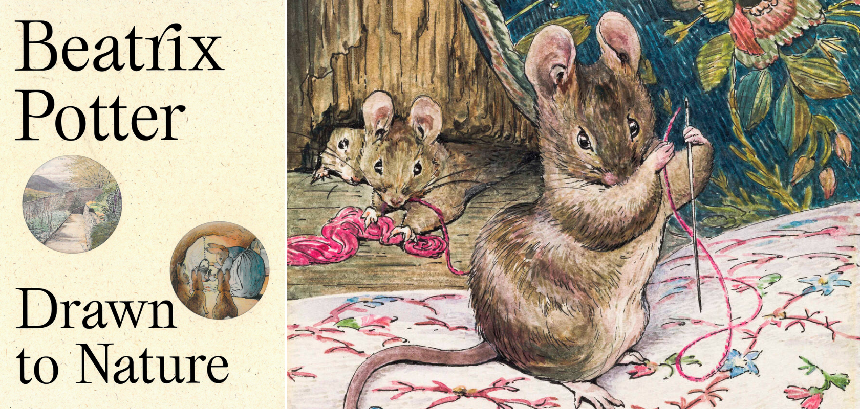 promotional image for Beatrix Potter at V&A